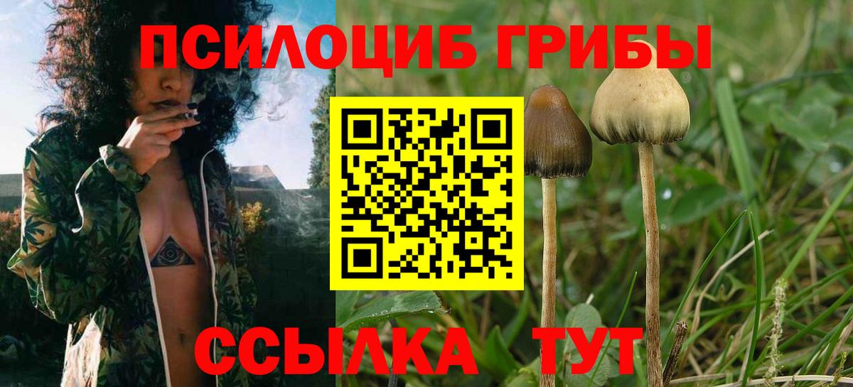Галлюциногенные грибы MAGIC MUSHROOMS Нижневартовск